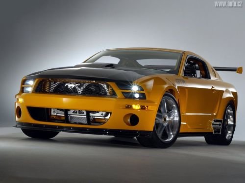 Mustang 2.jpg